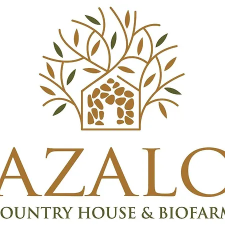 Azalo * 诺托